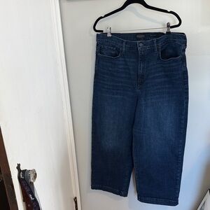 Banana Republic Indigo Premium Denim